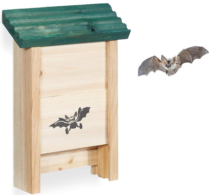 Nichoir « chauves-souris »