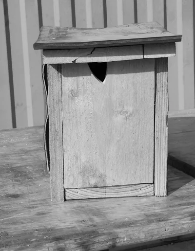 Nichoir mésange bleue sur table de l'atelier