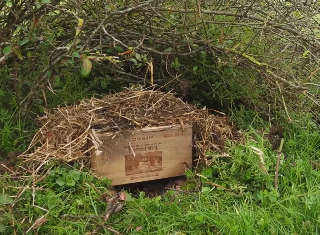 boîte en bois de bouteilles de vin retournée et recouverte de branchages et de paille avec passage pour le hérisson